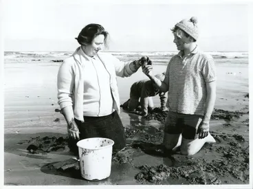 Image: Fishing - Toheroas