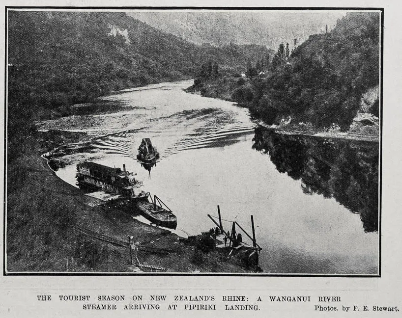 The Tourist Season On New Zealand's Rhine