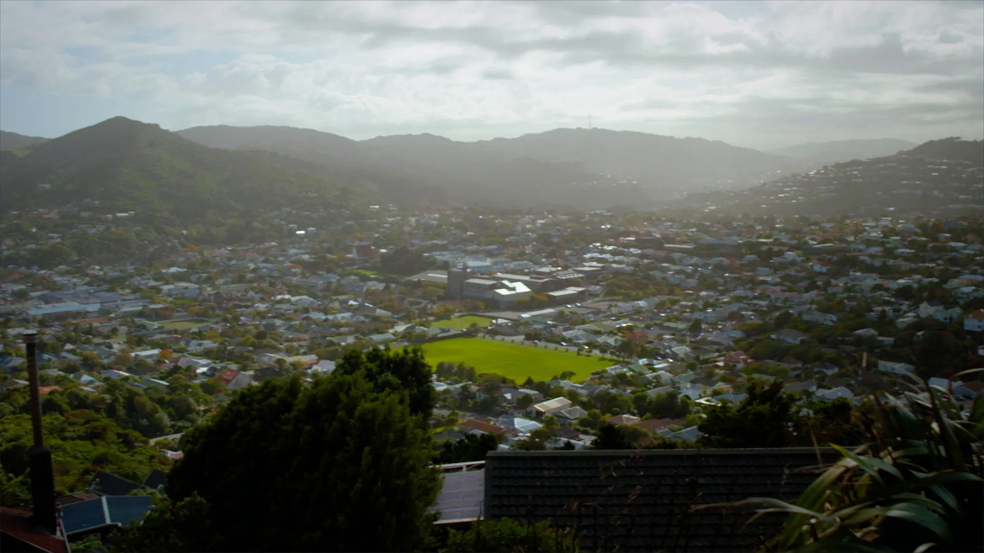 Neighbourhood - Karori (with Chris Chang)