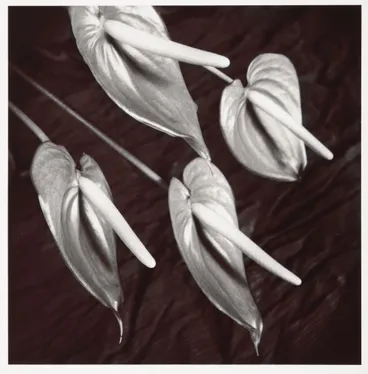 Image: Night Hawk. no. 4. Naughty boys