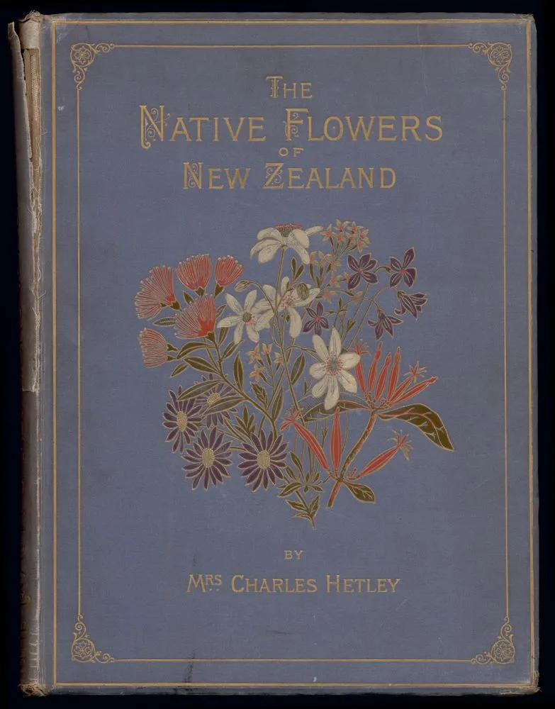 The native flowers of New Zealand : illustrated in colours in the best style of modern chromo-litho art, from drawings coloured to nature