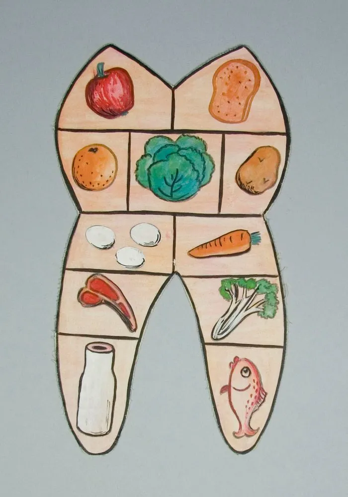 Educational display (dental health) - Tooth food pyramid