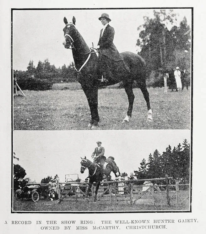 A record in the show ring: the well-known hunter Gaiety, owned by Miss McCarthy, Christchurch