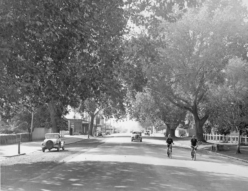 Grey Street, Hamilton East