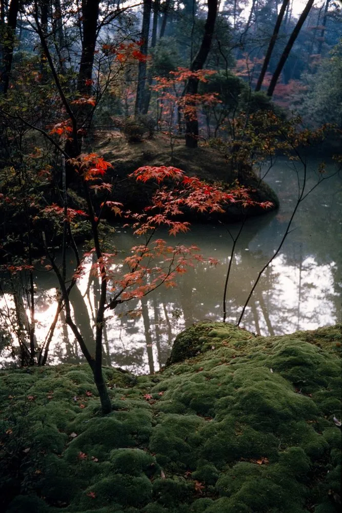 Japan Series: Kokedera Temple
