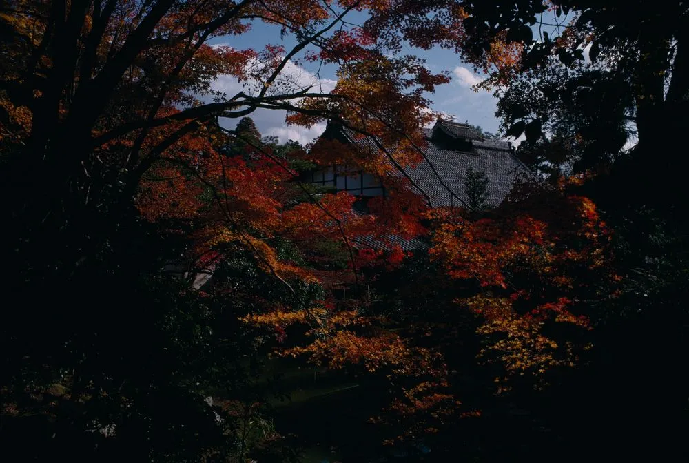 Japan Series: Scenery