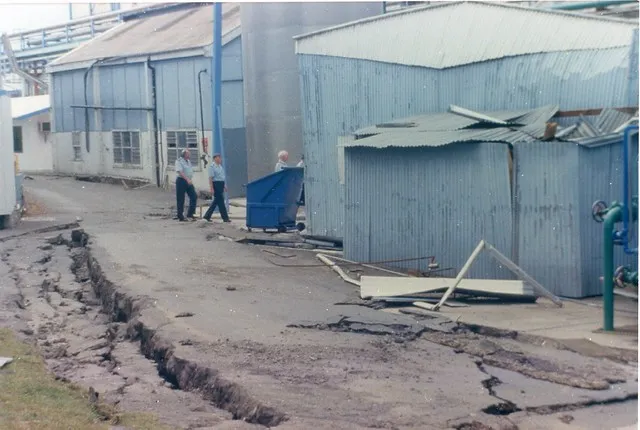Bay of Plenty Earthquake, 1987
