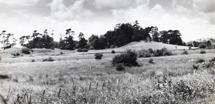 Smales Mountain, East Tamaki, 1970.