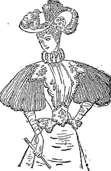 Image: A Gbass-lawn Costume, (Auckland Star, 19 December 1896)