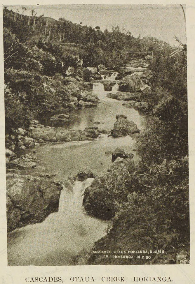 Cascades, Otaua Creek, Hokianga