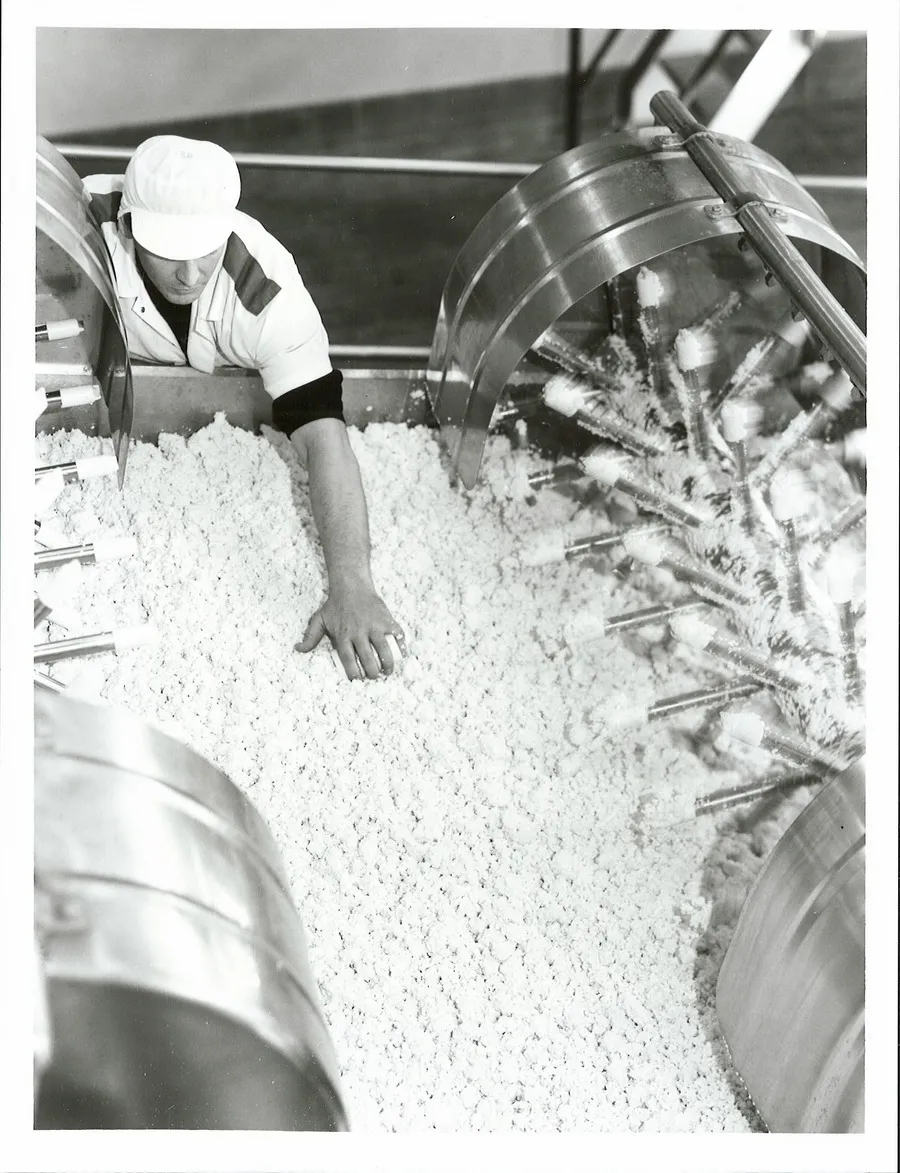 Agriculture - Dairy Factories -  Cheese