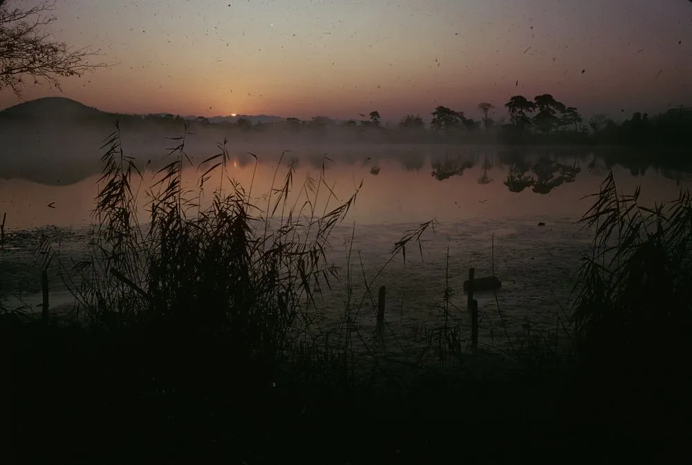 Japan series: Hirosawaike pond