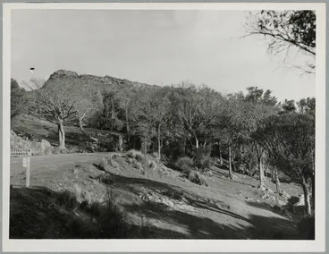 Summit Road near Kennedys Bush Image: Summit Road near Kennedys Bush