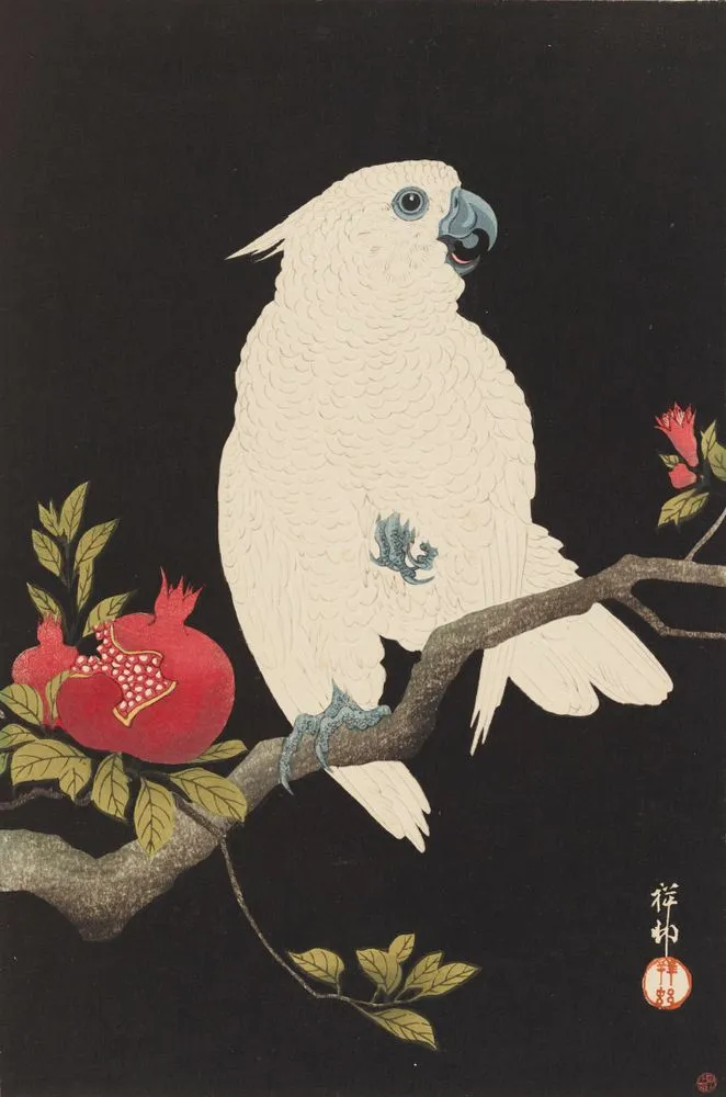 Cockatoo and pomegranate.
