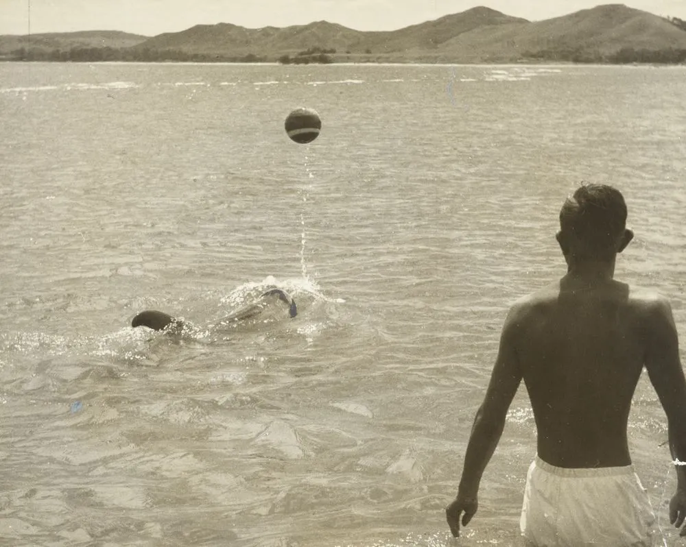 Opo the dolphin, Opononi