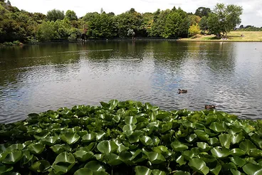 Image: Hamilton Gardens, Hamilton, New Zealand