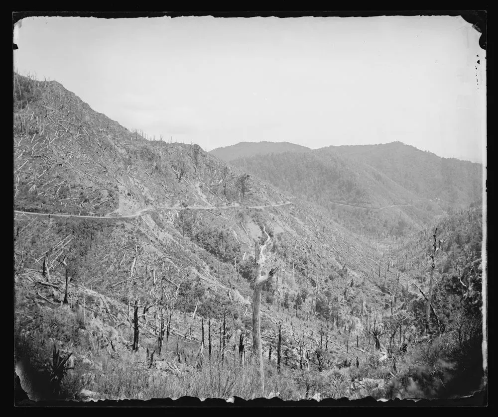 Wellington side of the Remutaka [Rimutaka] Hill looking down from old house on the top, NZ