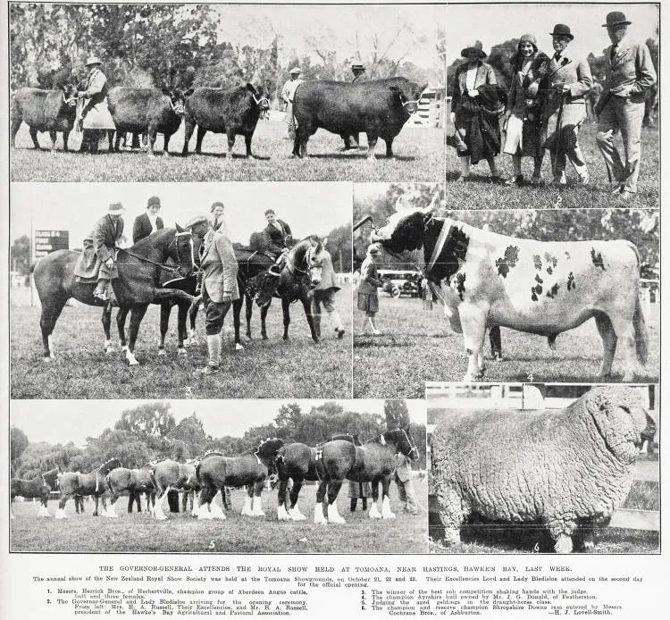 The Governor General attends the royal show held at Tomoana, near Hastings, Hawke's Bay last week
