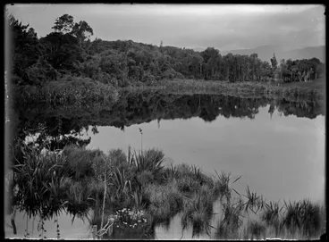 Image: Nature Studies : Supplejack, gannets etc - 1929