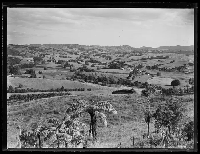Maromaku Valley, Northland