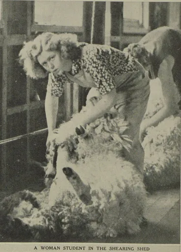 Image: Photos of activities at Massey Agricultural College