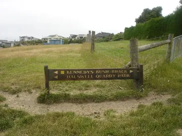 Image: Halswell Quarry Park and houses