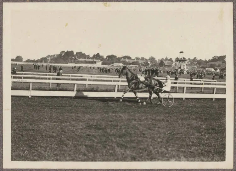 Alexandra Park Racecourse