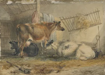 Image: Cows