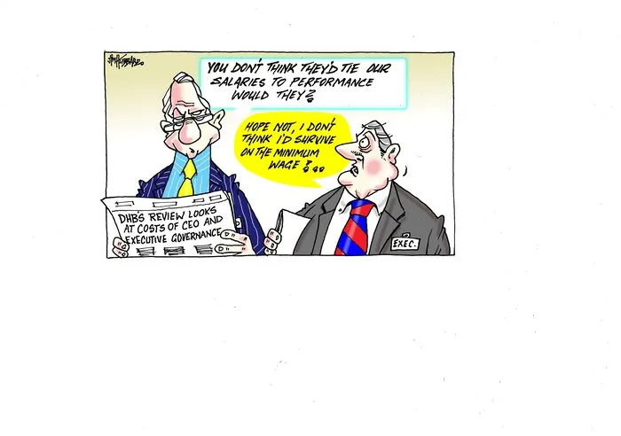 Cost of District Health Board Executive Governance and CEO