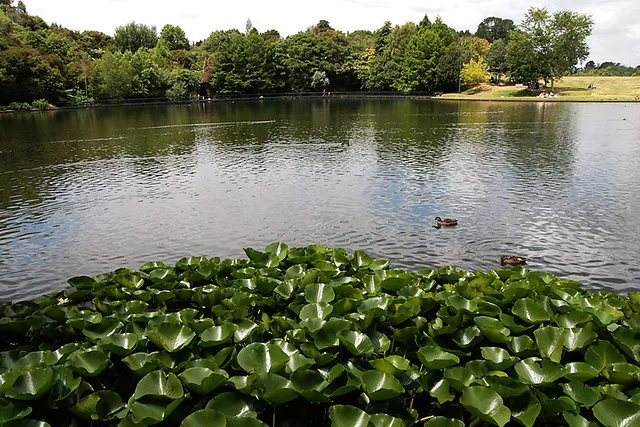 Hamilton Gardens, Hamilton, New Zealand