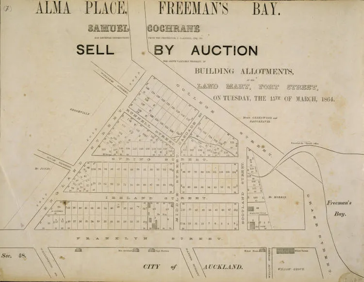 Alma Place, Freemans Bay