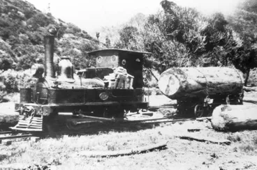 Image: Engine and log near mill.
