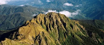 Image: Ngāti Porou