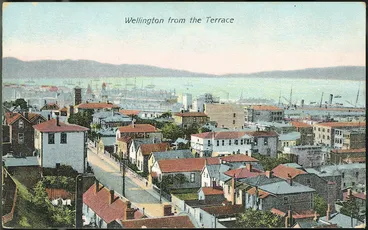 Image: Postcard. Wellington from the Terrace. G & G series, no. 116. Printed in Berlin. [1904-1914].