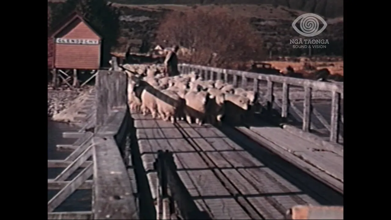 LIFELINE OF THE LAKE