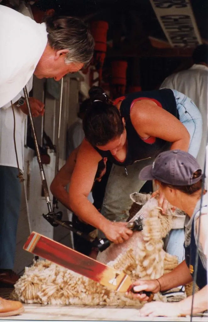 Horowhenua A P& I Show, 2002