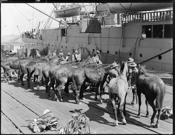 Horses being readied for departure by ship during World War One