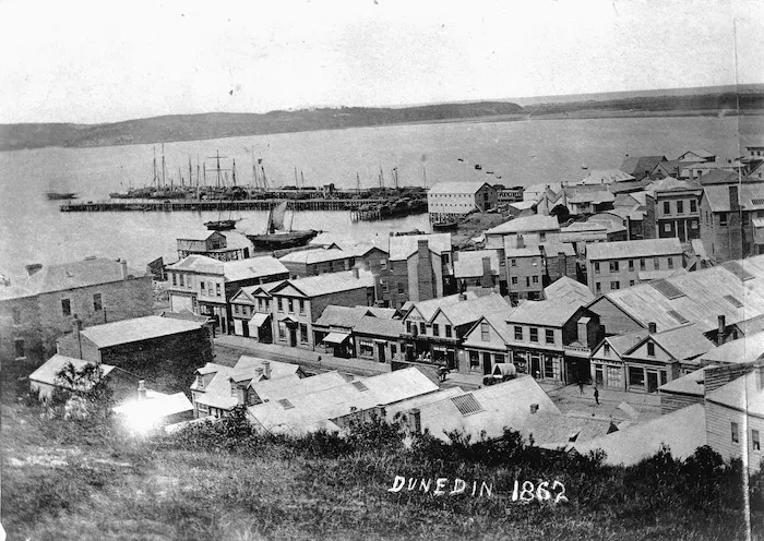 Overlooking Dunedin, from Rattray Street