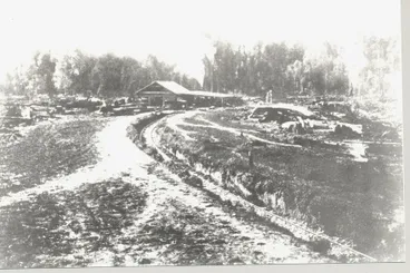 Image: Bartholomew & Dunns' Sawmill (Levin), c.1889