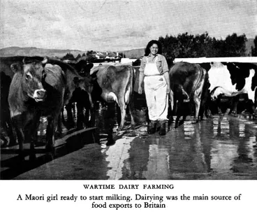 Image: wartime dairy farming — A Maori girl ready to start milking. Dairying was the main source of food exports to Britain