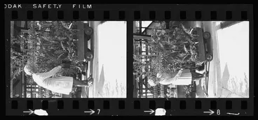 Image: Oderings worker and plants