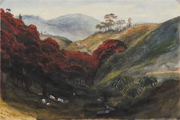 Image: The rata in flower. Welln. NZ. Decr, 1850.