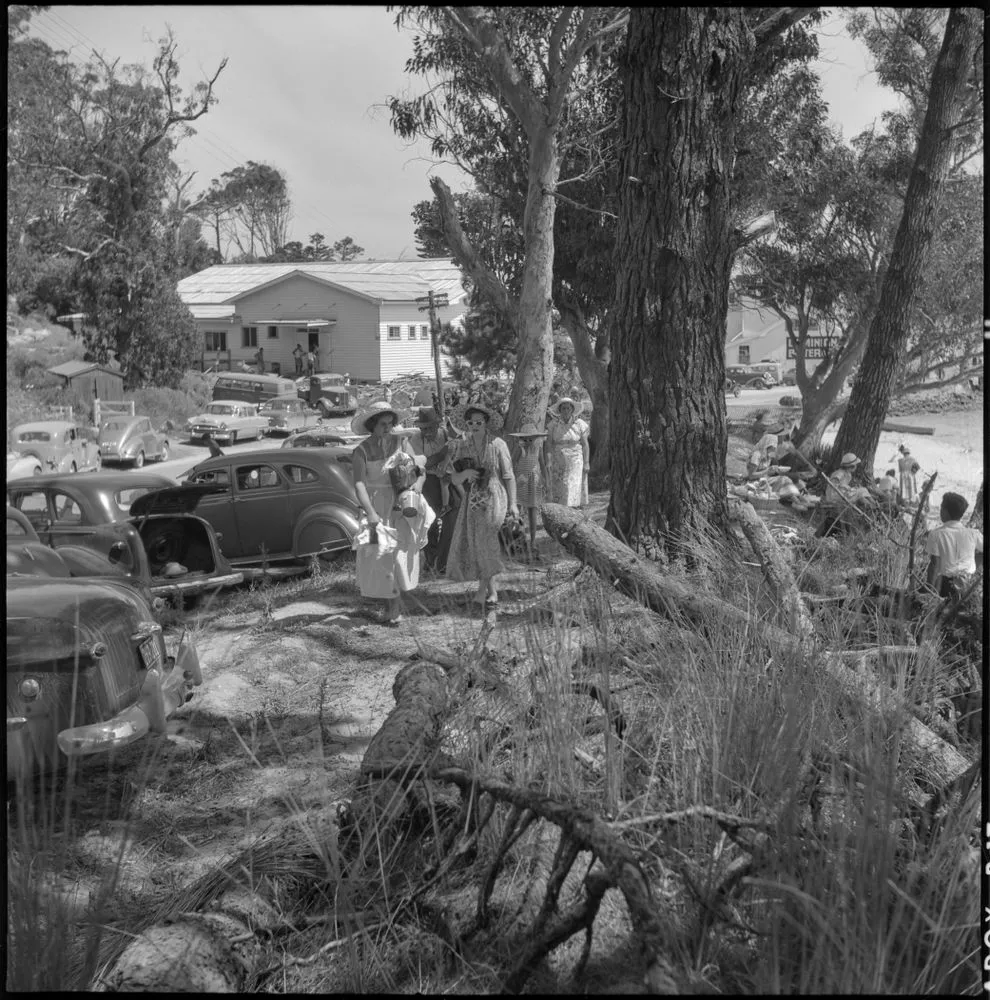 Travellers into Opononi