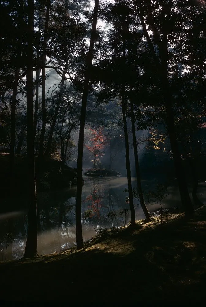 Japan series: Kokedera