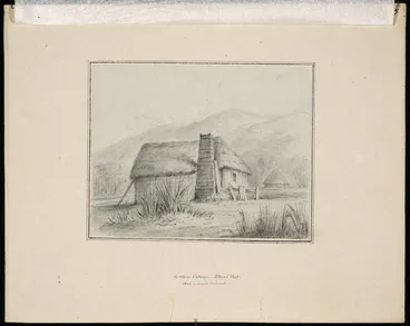 Image: Swainson, William, 1789-1855 :Settlers cottage, Petoni Flat. 1846 - since ruined [1846].