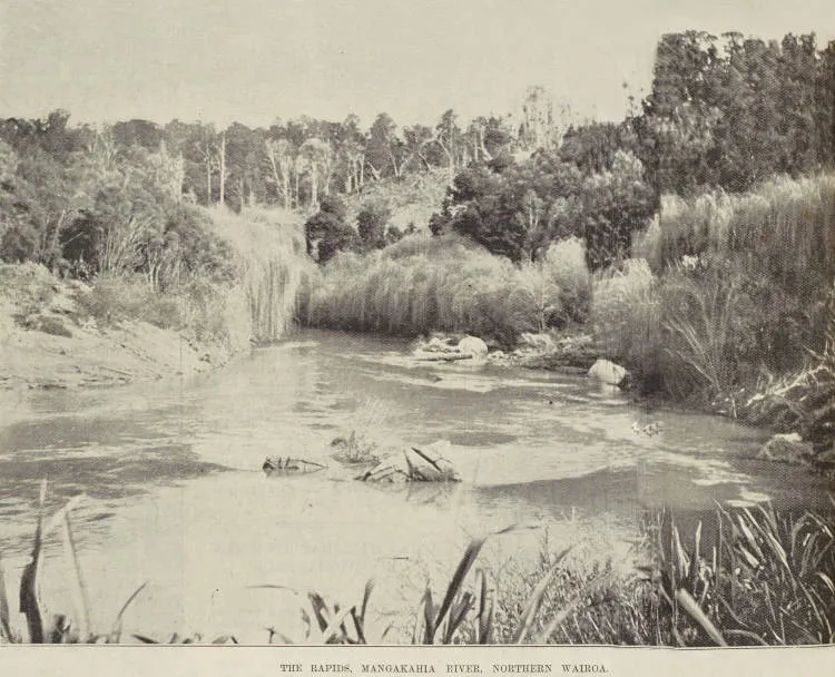 The rapids, Mangakahia River, Northern Wairoa