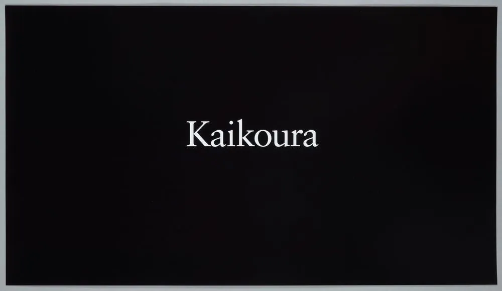 Untitled II. From: Te hikoi ō Kati Kuri | The journey of Kati Kuri - Kaikoura