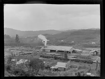 Image: The Kakahi Sawmill with railway carriages and logs ready for processing in front, and cut timber stacked behind, Kakahi Settlement, Manawatu-Whanganui Region