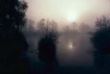 Image: Wai, te reo Māori 