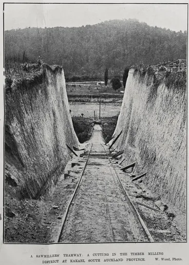 Image: A sawmillers' tramway